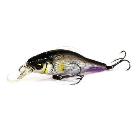 fishing-service.com | Купить оптом, в розницу Воблер Megabass X-80 TRICK DARTER Купить Воблер Megabass X-80 TRICK DARTER  в Киеве, Харькове, Днепропетровске, Одессе, Донецке, Запорожье, Львове.  Отзывы  Воблер Megabass X-80 TRICK DARTER : цена, описание, 