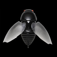 Воблер Megabass BEETLE-X col. BLACK BUG