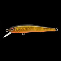 Воблер Megabass X-70 (SP) col. GG MEGABASS KINKURO