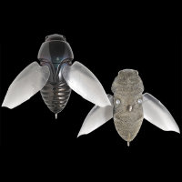 Воблер Megabass BEETLE-X (SP-C) col. FF KUROKANABUN