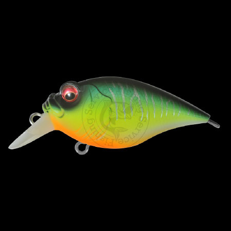 Воблер Megabass GRIFFON BT ― Fishing Service