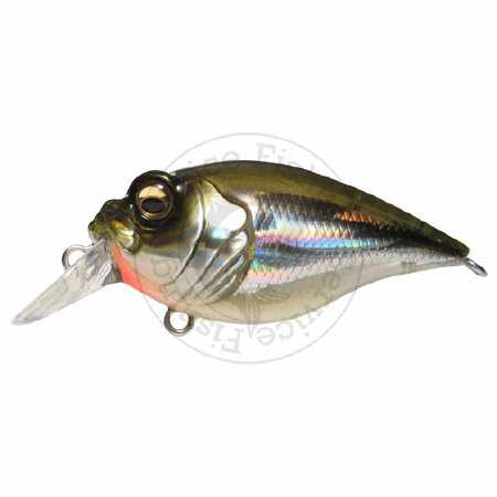 Воблер Megabass GRIFFON 6cc ― Fishing Service
