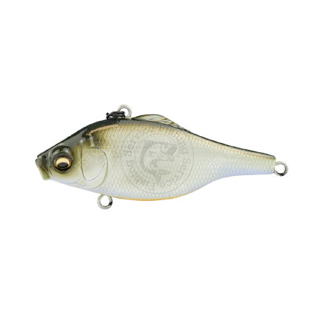 fishing-service.com | Купить оптом, в розницу Воблер Megabass VIBRATION-X SMATRA (SILENT) Купить Воблер Megabass VIBRATION-X SMATRA (SILENT)  в Киеве, Харькове, Днепропетровске, Одессе, Донецке, Запорожье, Львове.  Отзывы  Воблер Megabass VIBRATION-X SMAT