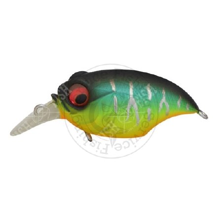 Воблер Megabass NEW SR-X GRIFFON ― Fishing Service