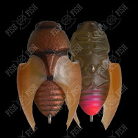 Воблер Megabass BEETLE-X HOVER CRAWL