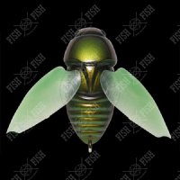 Воблер Megabass BEETLE-X