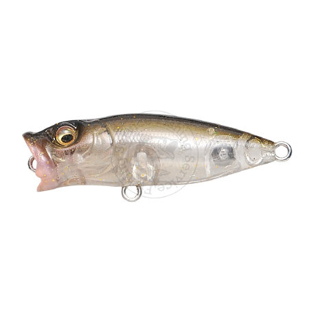 fishing-service.com | Купить оптом, в розницу Воблер Megabass BABY POPX Купить Воблер Megabass BABY POPX  в Киеве, Харькове, Днепропетровске, Одессе, Донецке, Запорожье, Львове.  Отзывы  Воблер Megabass BABY POPX : цена, описание, продажа 