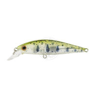 Воблер ZipBaits Rigge Flat 50S